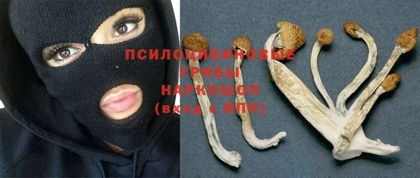 спайс Алзамай