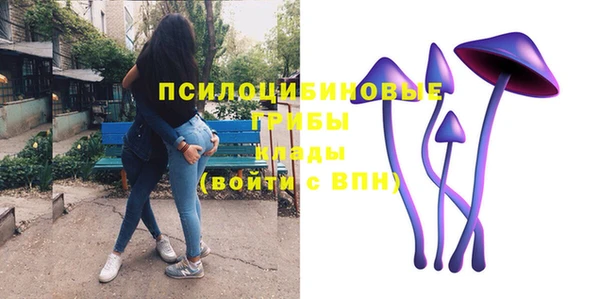 гидропоника Абдулино